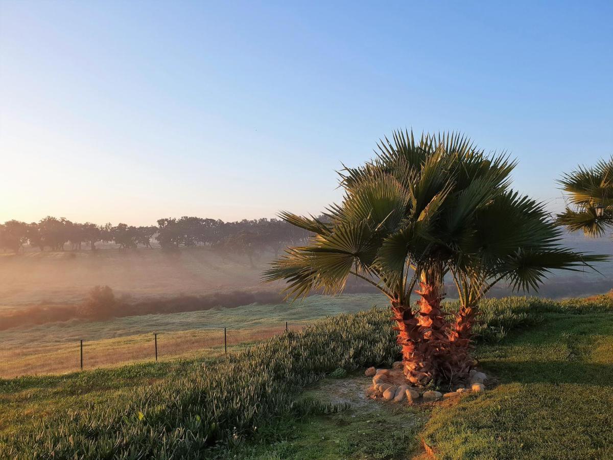 Monte D'Vagar By Estilo Lusitano, Com Piscina Privada Villa Grândola Eksteriør billede